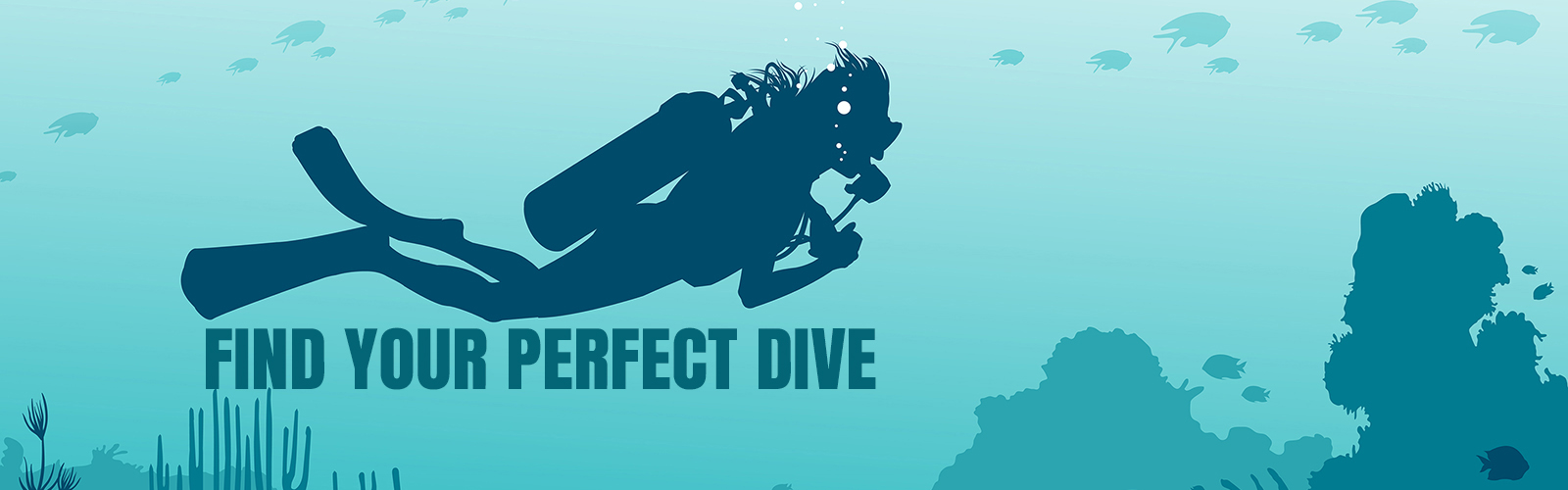 Divepricer, Find your perfect dive